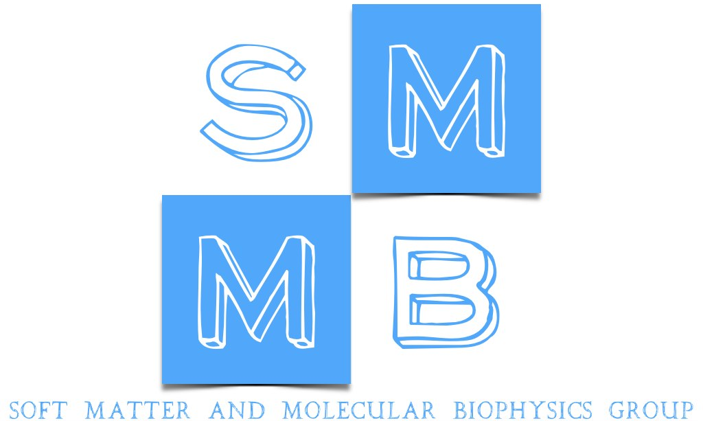 Soft Matter & Molecular Biophysics Group